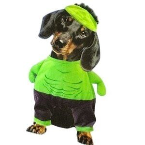 Marvel Avengers Dog Size Small Hulk Halloween Costume